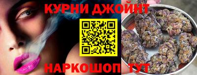 spice Кинель