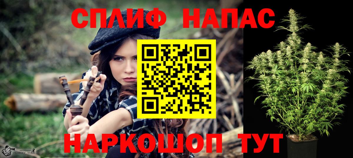 Бошки Шишки Bruce Banner  Марихуана план  Ярцево  Марихуана конопля  Вход с VPN 